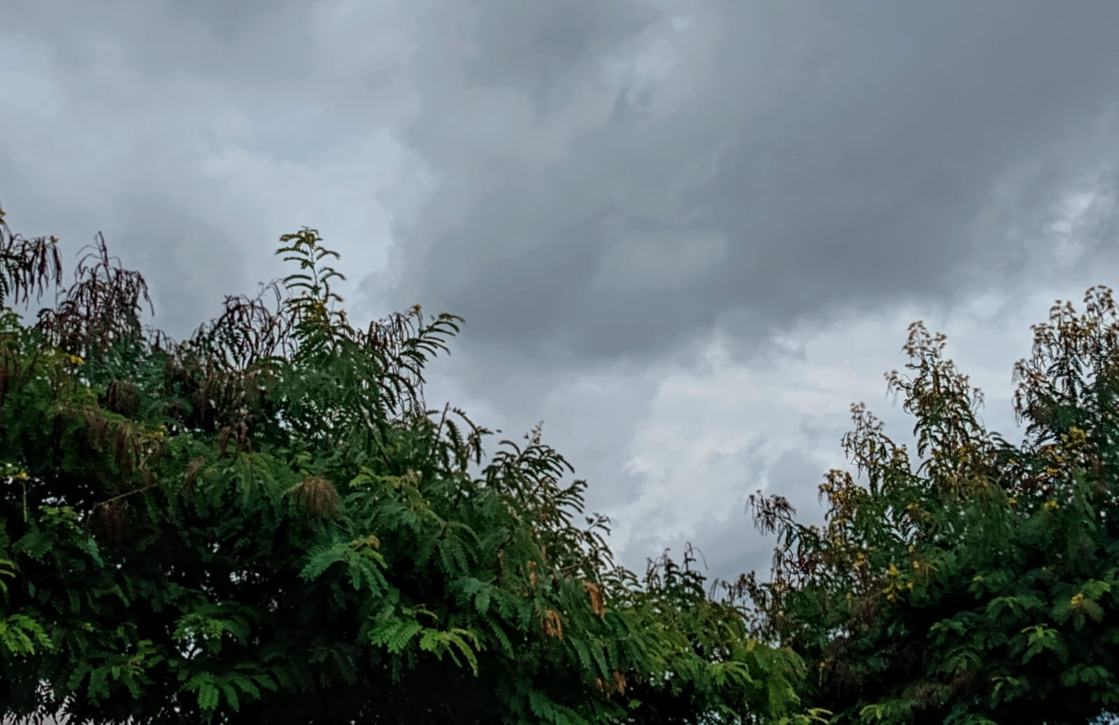 Mossoró registra chuva de 30 milímetros nas últimas 24 horas