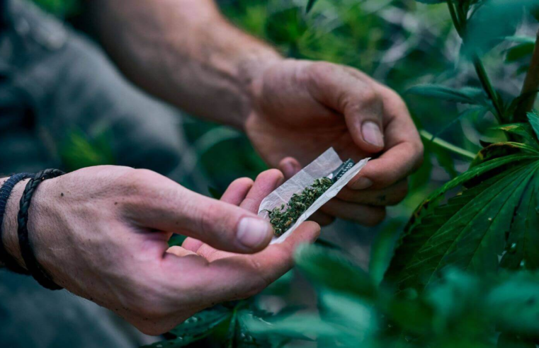 CCJ do Senado aprova PEC que criminaliza porte de qualquer quantidade de drogas