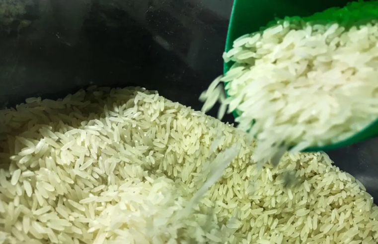 Governo zera imposto para importação de três tipos de arroz até dezembro