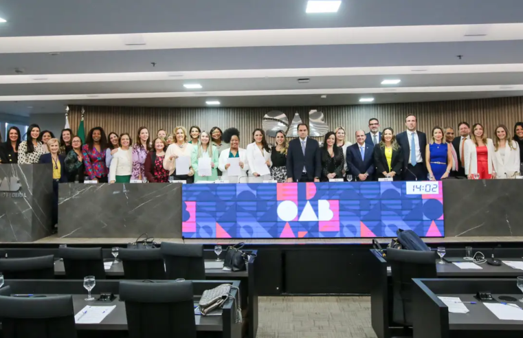OAB diz que PL do aborto é flagrantemente inconstitucional e atroz
