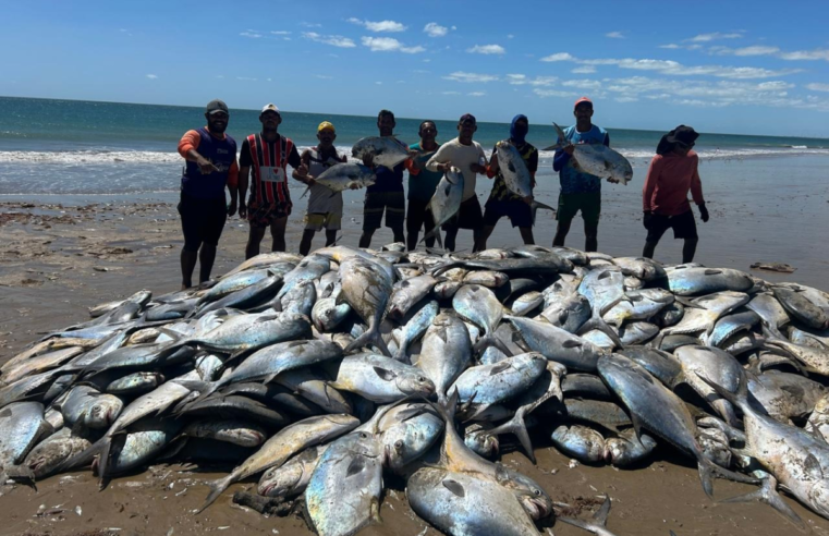 Pescadores capturam 7 toneladas de peixes no litoral Norte do RN