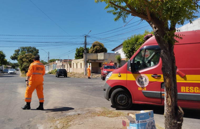 Idoso de 67 anos morre após ser atacado por enxame de abelhas em Mossoró