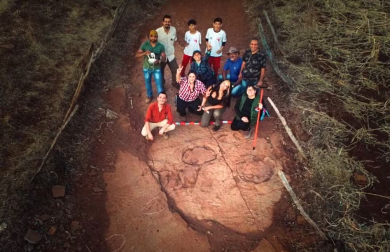 Pesquisadores da UFRN descobrem novas pegadas de dinossauro que viveu há mais de 100 milhões de anos