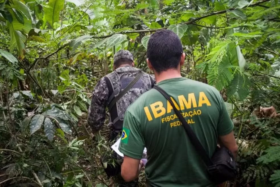 Ibama publica edital de concurso com 460 vagas e salário de até R$ 9,9 mil