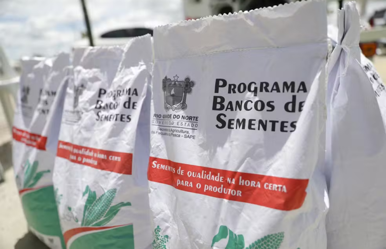 RN inicia distribuição de mais de 650 toneladas de sementes para agricultores familiares