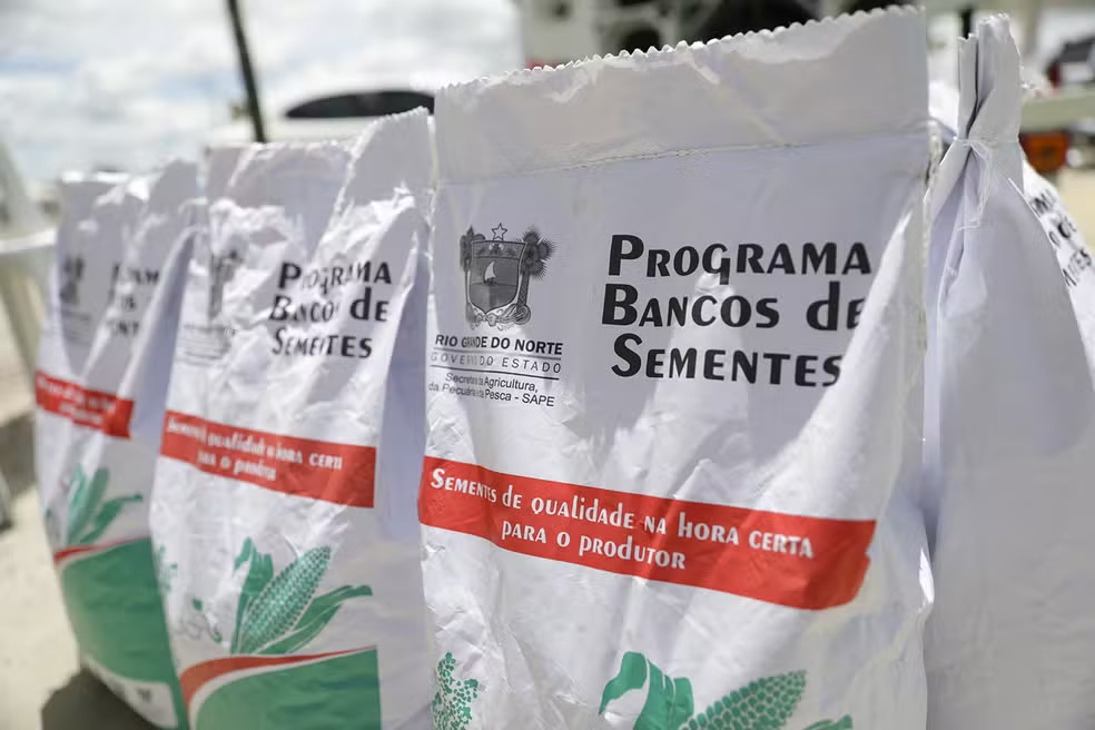 RN inicia distribuição de mais de 650 toneladas de sementes para agricultores familiares