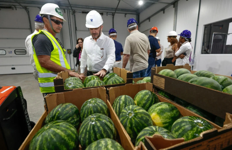 Exportações do RN crescem 250% em uma década e atingem US$ 1,1 bilhão