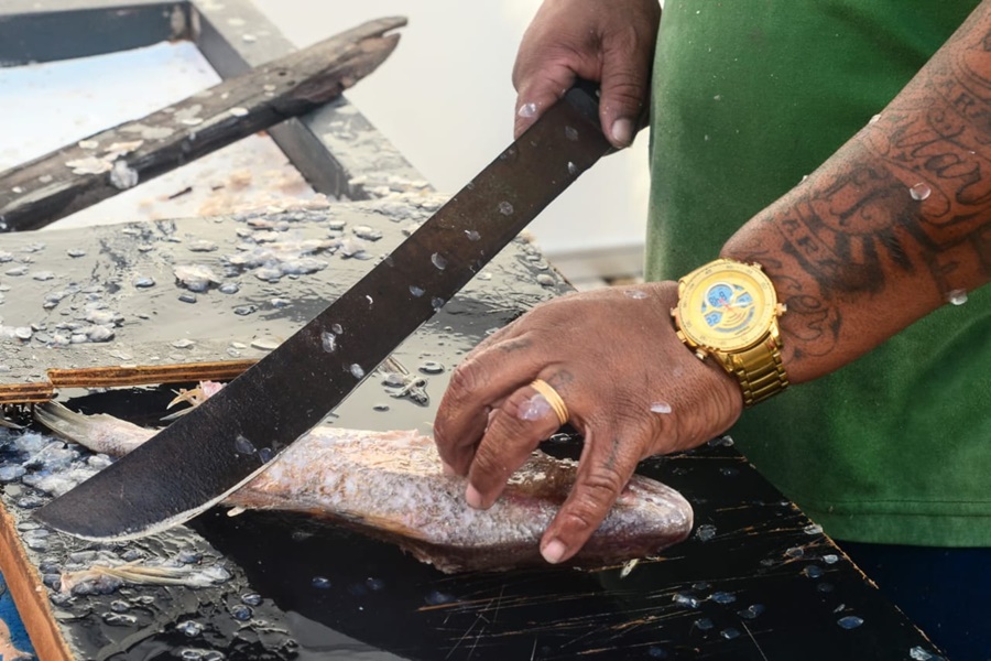 Peixe será vendido a R$ 10 em Mossoró; saiba onde comprar