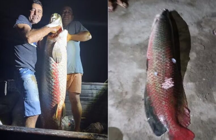 Pescadores capturam peixe de quase 60 quilos no interior do RN