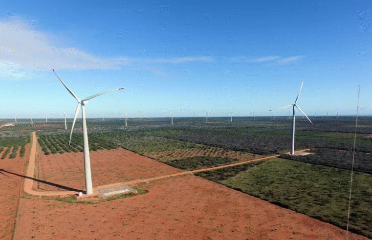 Produtores rurais de Serra do Mel processam empresa de energia eólica