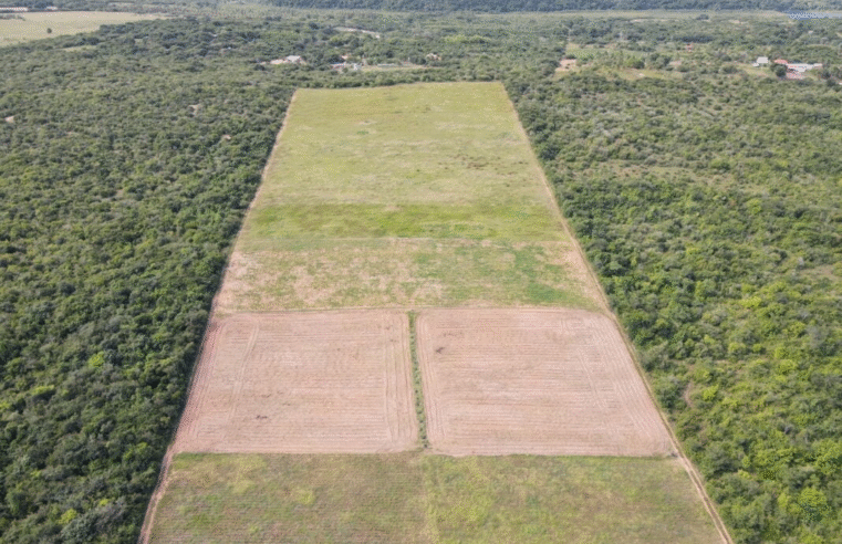 RN está entre os estados mais críticos em termos de conservação ambiental