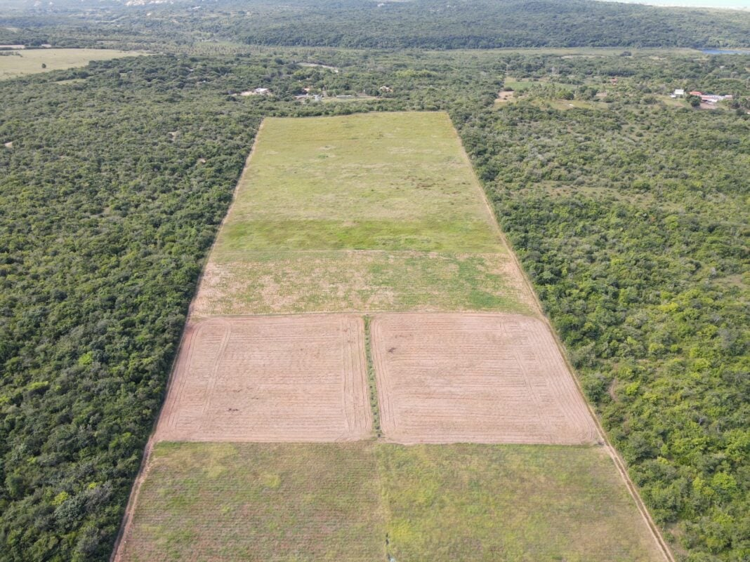 RN está entre os estados mais críticos em termos de conservação ambiental