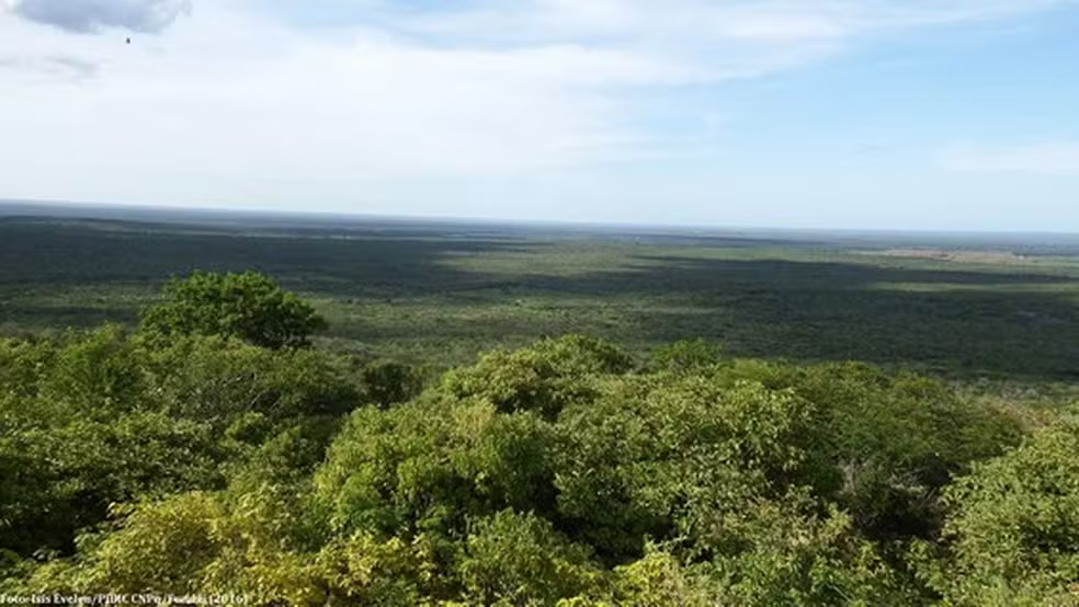 Parque da Furna Feia tem 44% da área em Mossoró e 56% em Baraúna