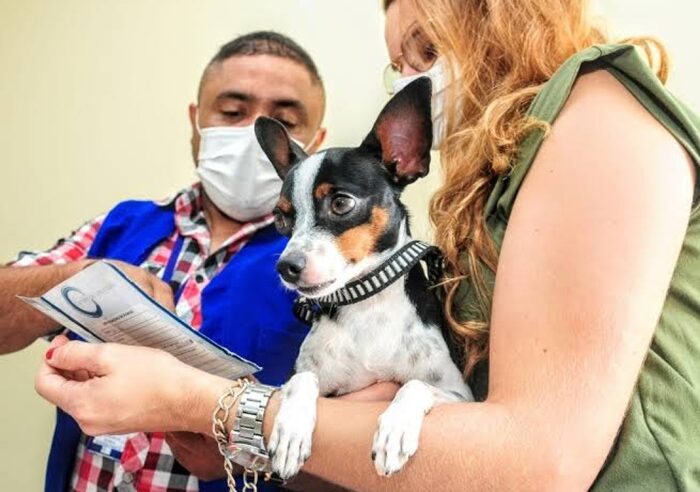Mossoró ultrapassa meta de vacinação contra raiva em cães e gatos