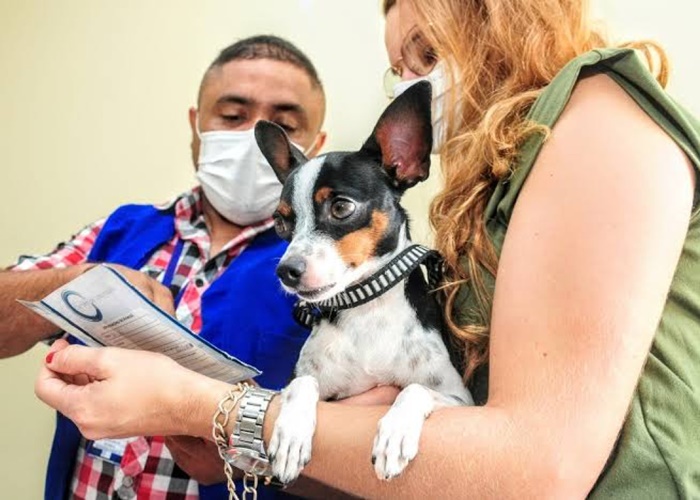 Mossoró ultrapassa meta de vacinação contra raiva em cães e gatos