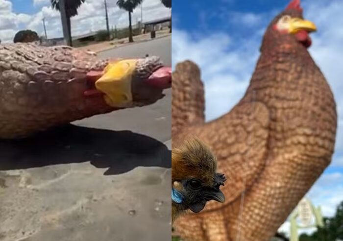 Ventania derruba galinha gigante de posto em Assu