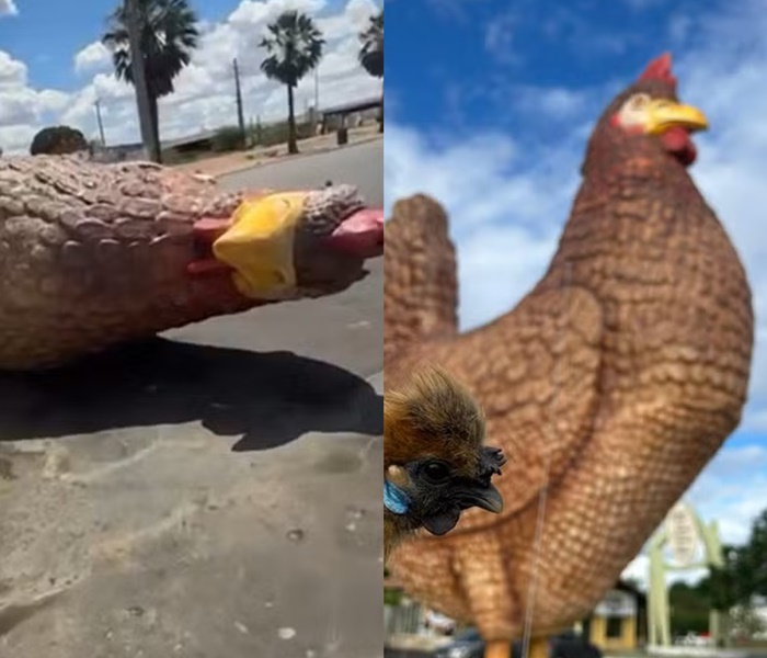 Ventania derruba galinha gigante de posto em Assu