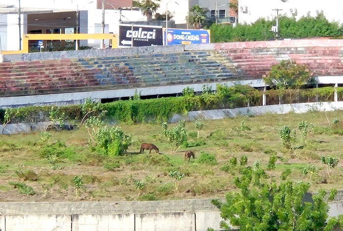 Prefeitura relança licitação para construção do novo Nogueirão