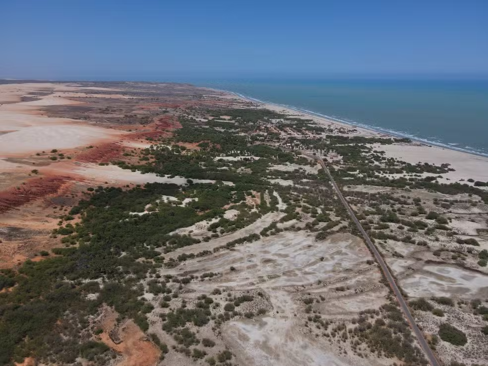 ‘Floresta’ de algarobas pode descaracterizar Dunas do Rosado, diz UFRN