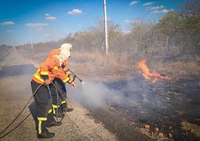 Região de Mossoró tem alta em incêndios em áreas de vegetação