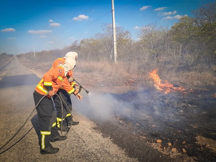 Região de Mossoró tem alta em incêndios em áreas de vegetação
