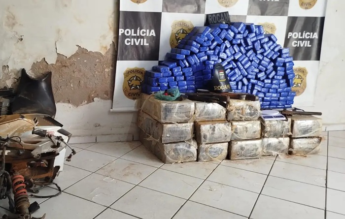 PM apreende quase 300 quilos de maconha em quintal de casa