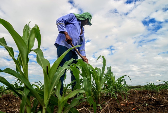 Em 10 dias, zona rural de Mossoró registra chuvas de até 199 mm