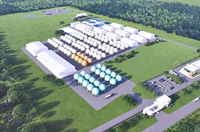 Licença libera projeto de usina de hidrogênio verde no RN