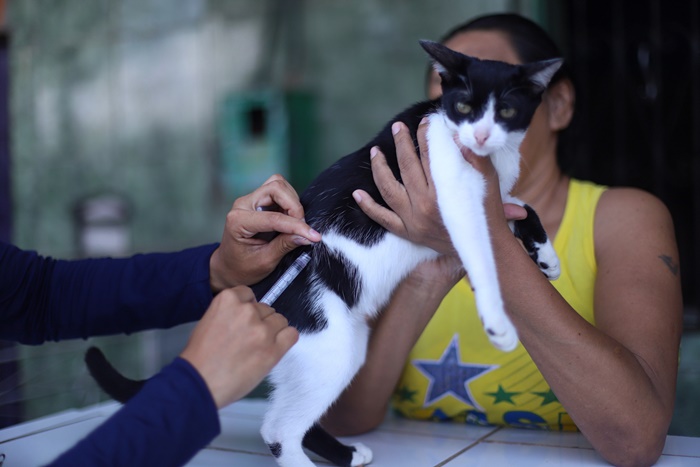 Vacinação antirrábica tem sete pontos nesta sexta-feira (17)